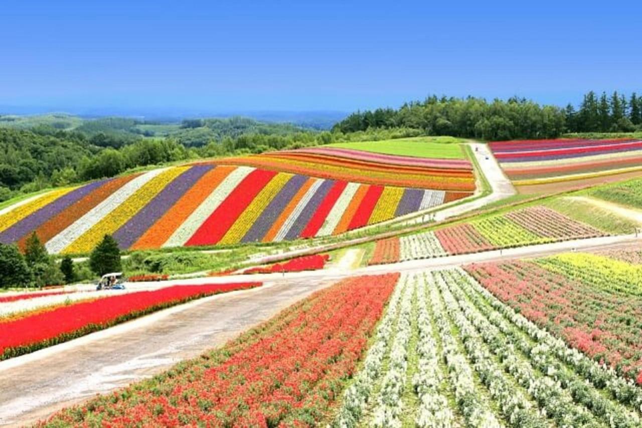 公寓 Hokkaido 7 - *